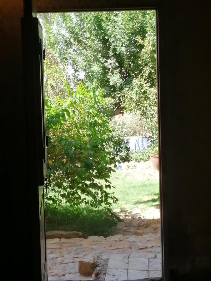 Studio In Byoum By Qaroun Lake In Fayoum Qaryat at Ta'mir as Siyahiyah Zewnętrze zdjęcie